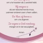 Boekenlegger Zegen St Patrick